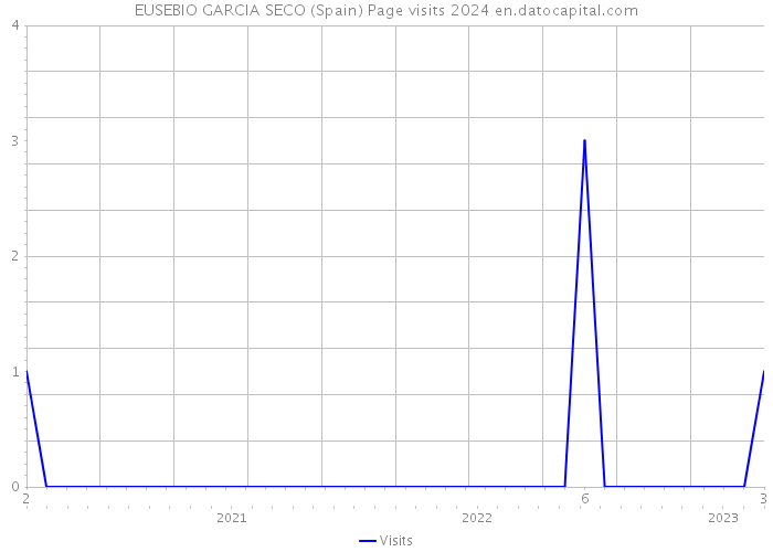 EUSEBIO GARCIA SECO (Spain) Page visits 2024 