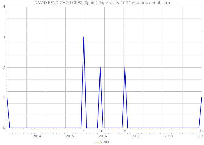 DAVID BENDICHO LOPEZ (Spain) Page visits 2024 