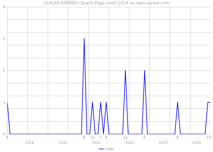 GUALDI ANDREA (Spain) Page visits 2024 