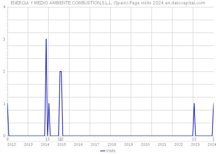 ENERGIA Y MEDIO AMBIENTE COMBUSTION,S.L.L. (Spain) Page visits 2024 