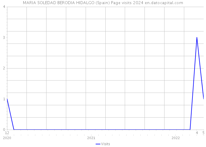 MARIA SOLEDAD BERODIA HIDALGO (Spain) Page visits 2024 