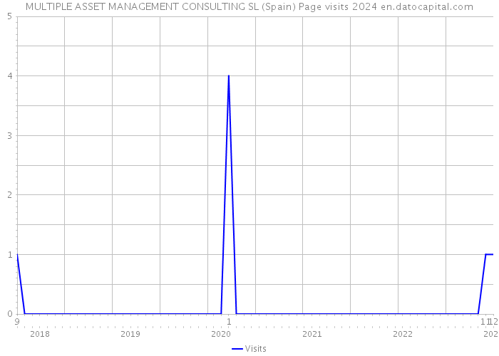 MULTIPLE ASSET MANAGEMENT CONSULTING SL (Spain) Page visits 2024 