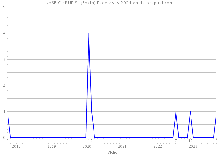 NASBIC KRUP SL (Spain) Page visits 2024 