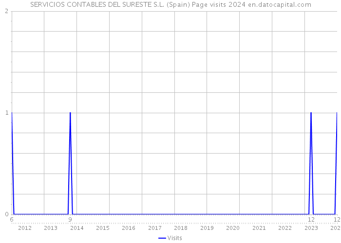 SERVICIOS CONTABLES DEL SURESTE S.L. (Spain) Page visits 2024 