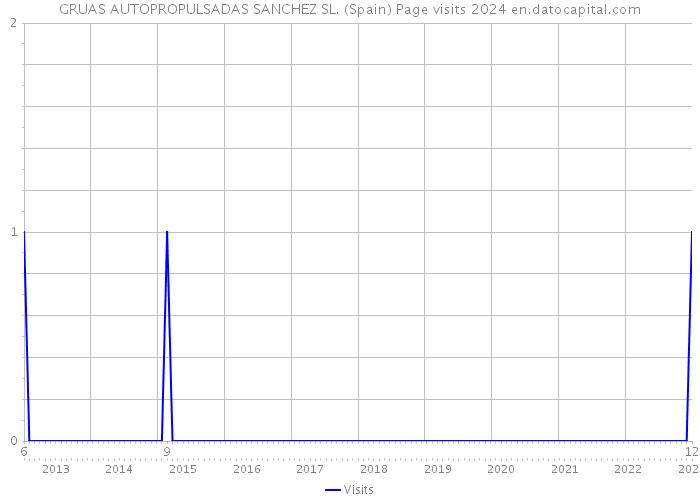 GRUAS AUTOPROPULSADAS SANCHEZ SL. (Spain) Page visits 2024 