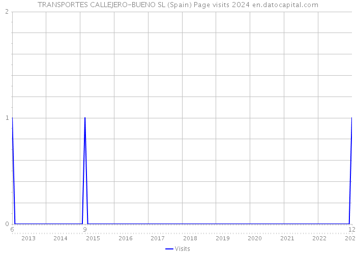 TRANSPORTES CALLEJERO-BUENO SL (Spain) Page visits 2024 