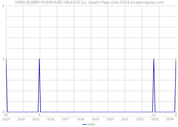 VIDEO EUSEBIO RODRIGUEZ-VELASCO S.L. (Spain) Page visits 2024 