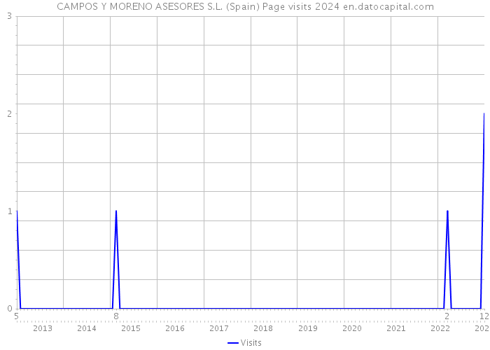 CAMPOS Y MORENO ASESORES S.L. (Spain) Page visits 2024 
