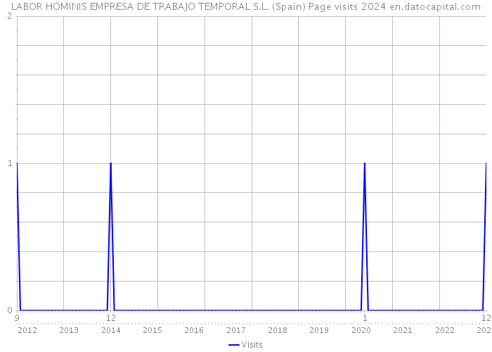 LABOR HOMINIS EMPRESA DE TRABAJO TEMPORAL S.L. (Spain) Page visits 2024 