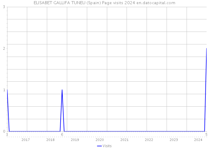 ELISABET GALLIFA TUNEU (Spain) Page visits 2024 