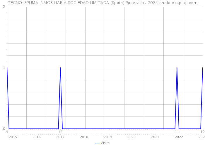 TECNO-SPUMA INMOBILIARIA SOCIEDAD LIMITADA (Spain) Page visits 2024 