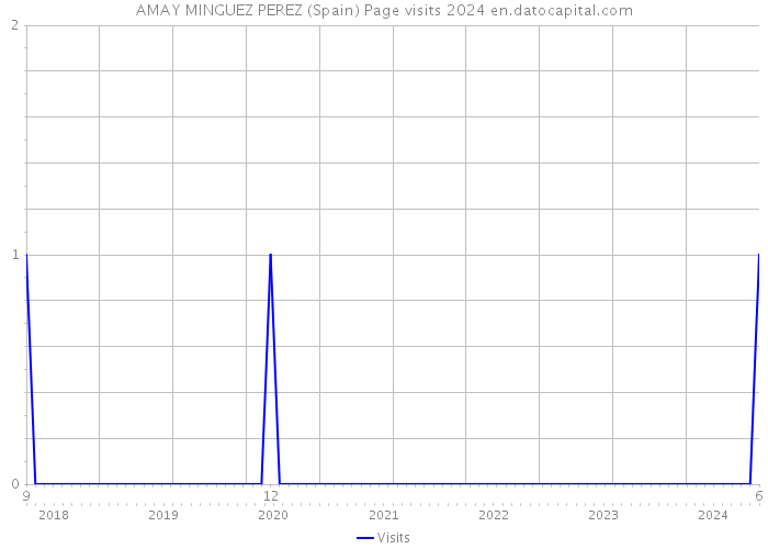 AMAY MINGUEZ PEREZ (Spain) Page visits 2024 