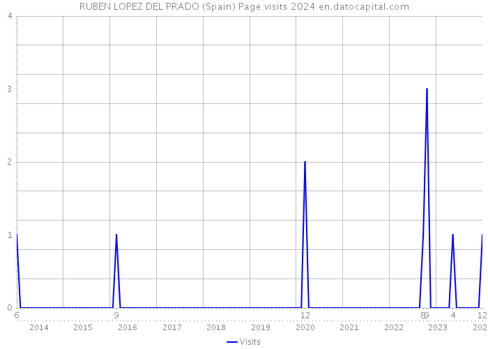 RUBEN LOPEZ DEL PRADO (Spain) Page visits 2024 