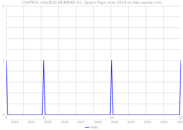 CONTROL GALLEGO DE BIENES S.L. (Spain) Page visits 2024 