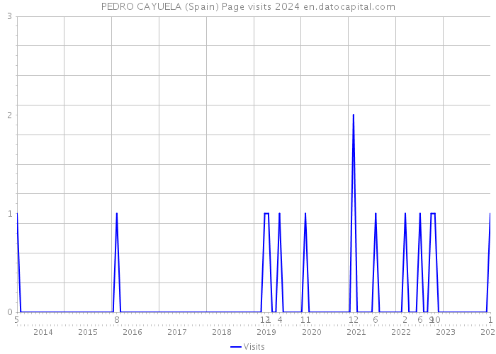PEDRO CAYUELA (Spain) Page visits 2024 
