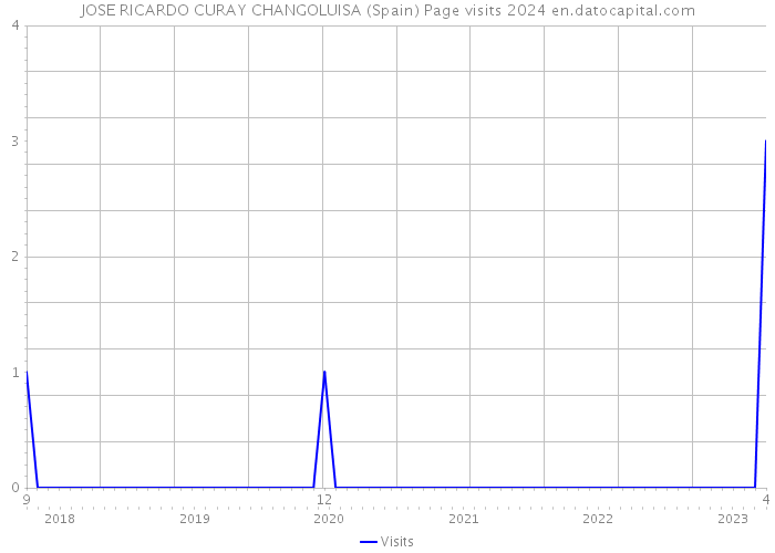 JOSE RICARDO CURAY CHANGOLUISA (Spain) Page visits 2024 