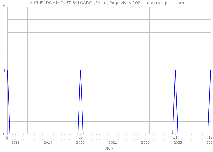 MIGUEL DOMINGUEZ SALGADO (Spain) Page visits 2024 