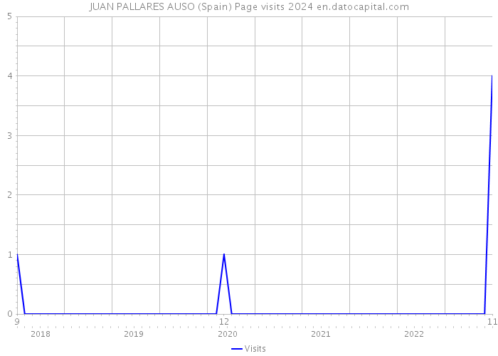 JUAN PALLARES AUSO (Spain) Page visits 2024 