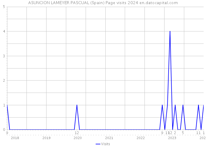 ASUNCION LAMEYER PASCUAL (Spain) Page visits 2024 