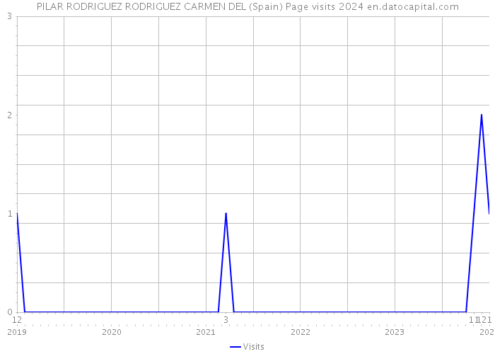 PILAR RODRIGUEZ RODRIGUEZ CARMEN DEL (Spain) Page visits 2024 