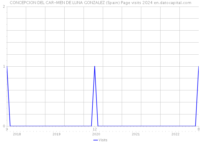 CONCEPCION DEL CAR-MEN DE LUNA GONZALEZ (Spain) Page visits 2024 