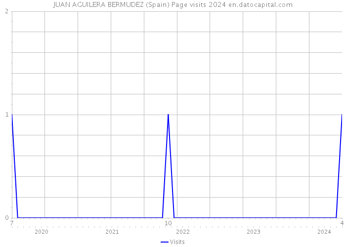 JUAN AGUILERA BERMUDEZ (Spain) Page visits 2024 