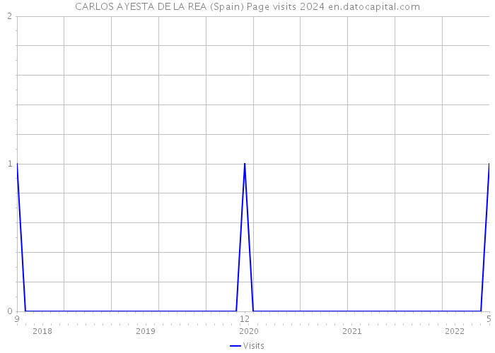 CARLOS AYESTA DE LA REA (Spain) Page visits 2024 