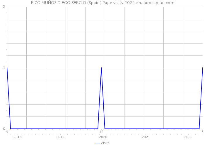 RIZO MUÑOZ DIEGO SERGIO (Spain) Page visits 2024 