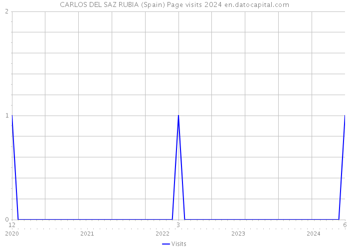 CARLOS DEL SAZ RUBIA (Spain) Page visits 2024 