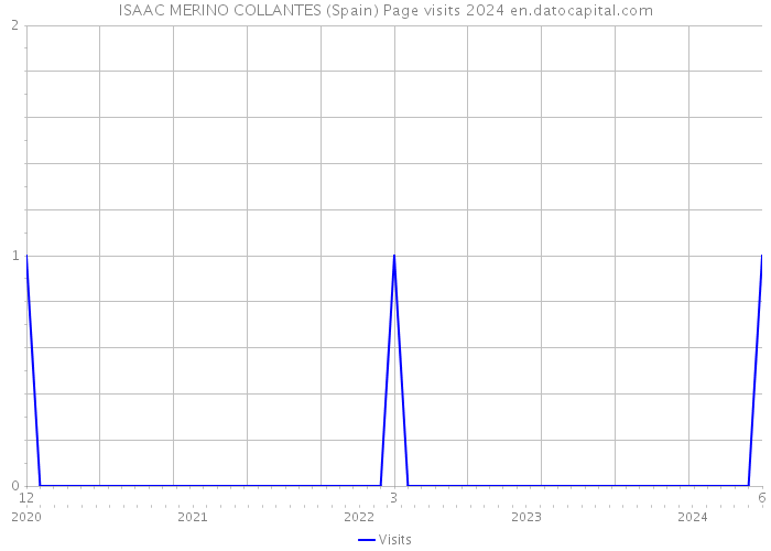 ISAAC MERINO COLLANTES (Spain) Page visits 2024 