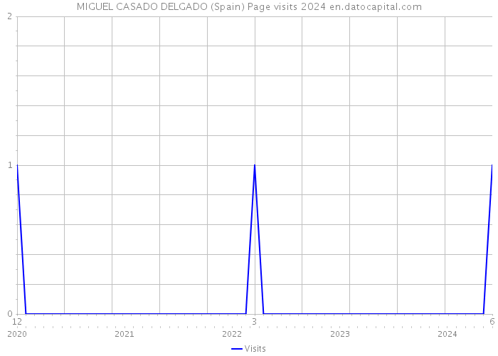 MIGUEL CASADO DELGADO (Spain) Page visits 2024 