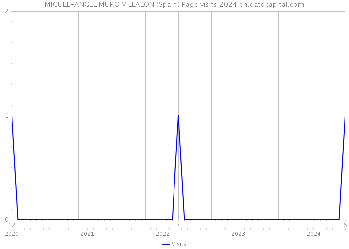 MIGUEL-ANGEL MURO VILLALON (Spain) Page visits 2024 