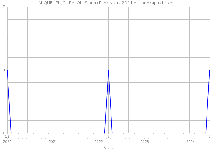 MIQUEL PUJOL PALOL (Spain) Page visits 2024 