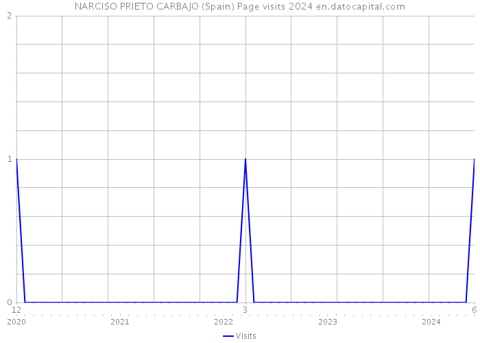 NARCISO PRIETO CARBAJO (Spain) Page visits 2024 