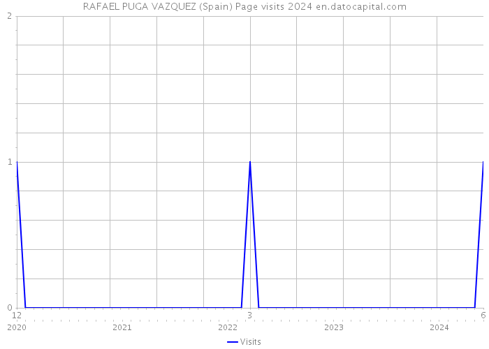 RAFAEL PUGA VAZQUEZ (Spain) Page visits 2024 