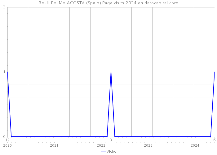 RAUL PALMA ACOSTA (Spain) Page visits 2024 