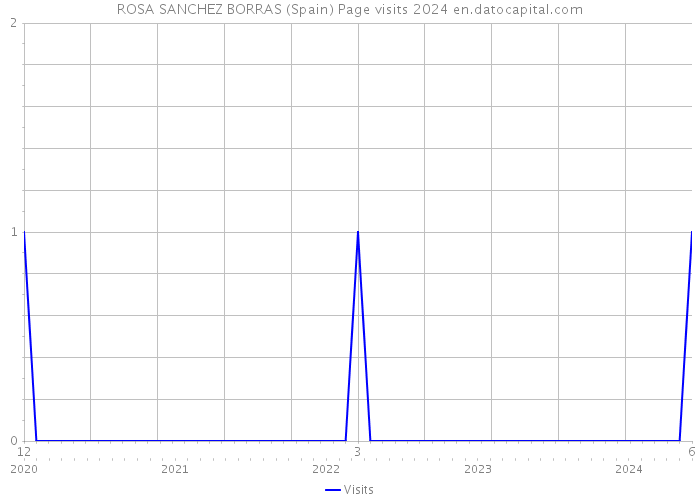 ROSA SANCHEZ BORRAS (Spain) Page visits 2024 