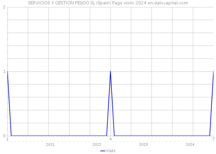 SERVICIOS Y GESTION FEIJOO SL (Spain) Page visits 2024 