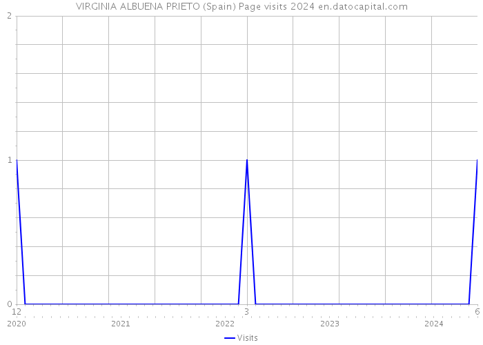 VIRGINIA ALBUENA PRIETO (Spain) Page visits 2024 
