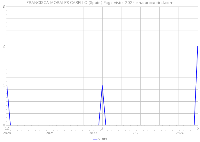 FRANCISCA MORALES CABELLO (Spain) Page visits 2024 