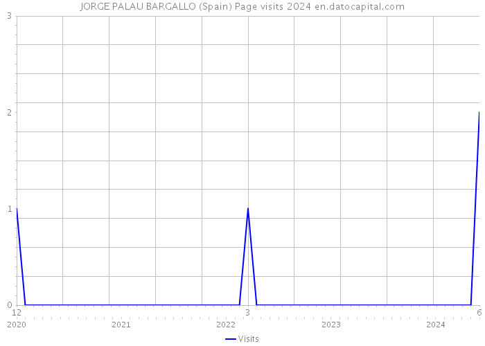 JORGE PALAU BARGALLO (Spain) Page visits 2024 