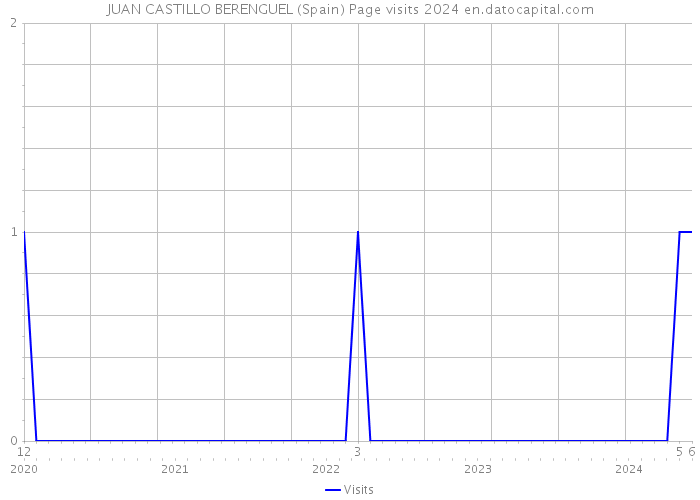 JUAN CASTILLO BERENGUEL (Spain) Page visits 2024 