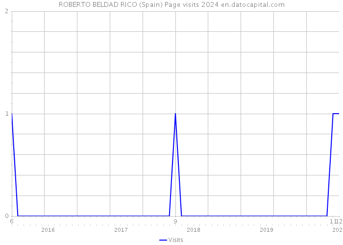 ROBERTO BELDAD RICO (Spain) Page visits 2024 