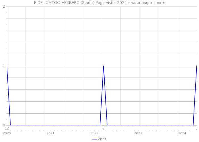 FIDEL GATOO HERRERO (Spain) Page visits 2024 