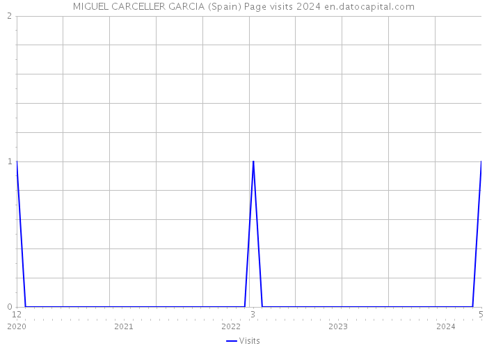 MIGUEL CARCELLER GARCIA (Spain) Page visits 2024 