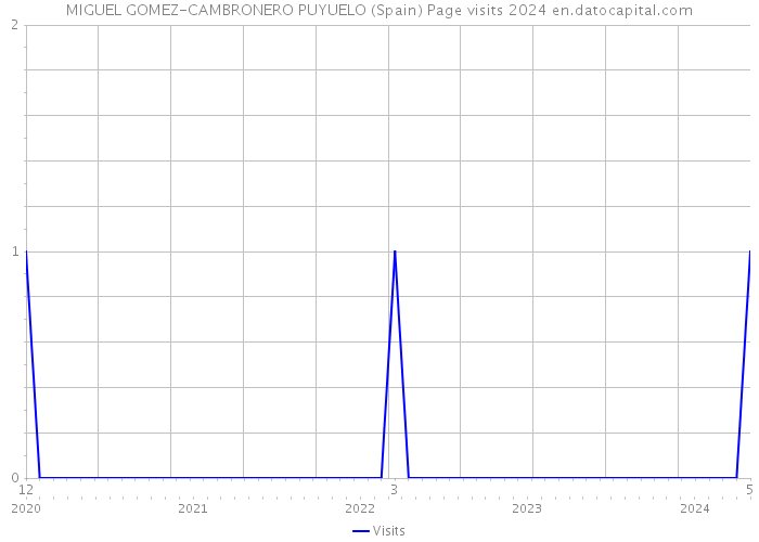 MIGUEL GOMEZ-CAMBRONERO PUYUELO (Spain) Page visits 2024 