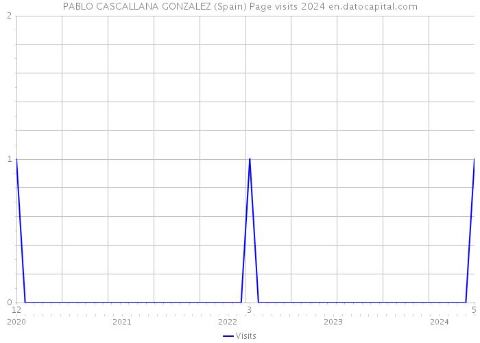 PABLO CASCALLANA GONZALEZ (Spain) Page visits 2024 