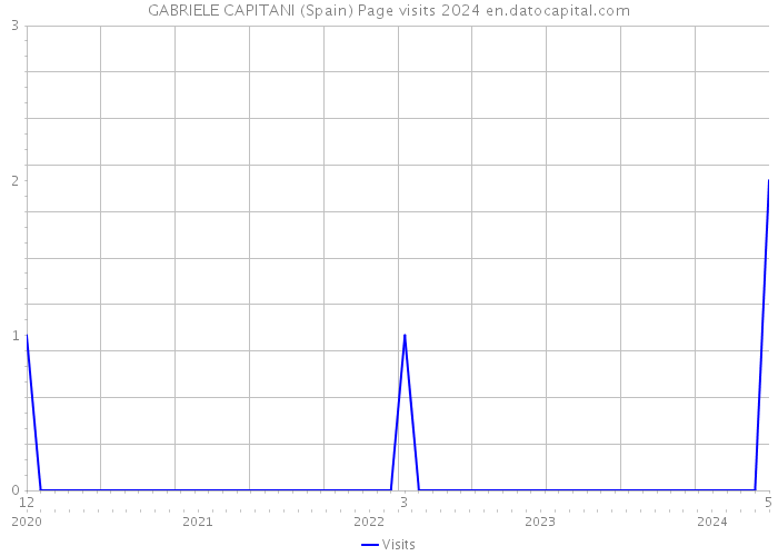 GABRIELE CAPITANI (Spain) Page visits 2024 