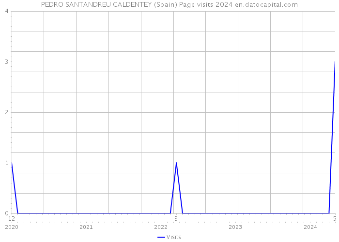 PEDRO SANTANDREU CALDENTEY (Spain) Page visits 2024 