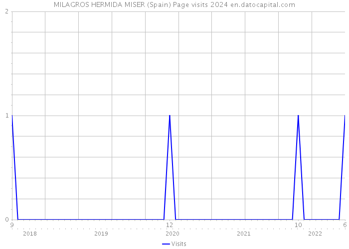 MILAGROS HERMIDA MISER (Spain) Page visits 2024 